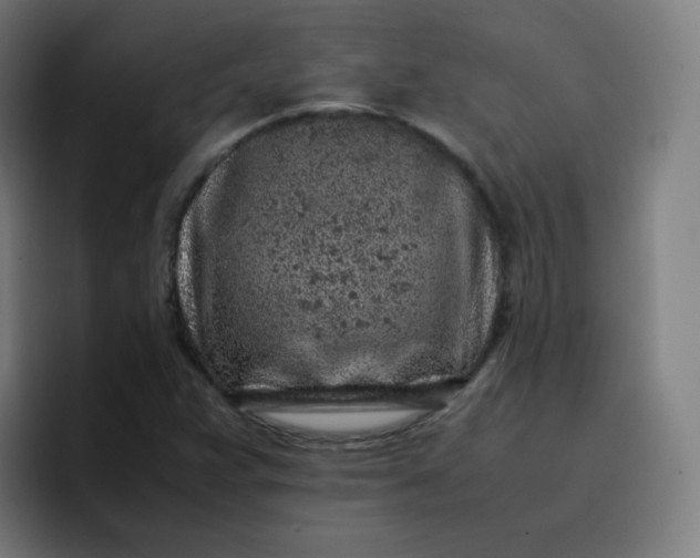 X0000096731359200802191540
