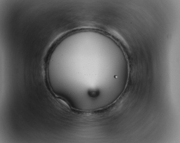 X0000096731360200802191540