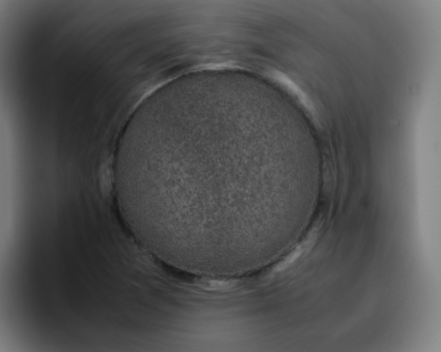 X0000096731361200802191540