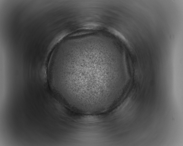X0000096731362200802191540