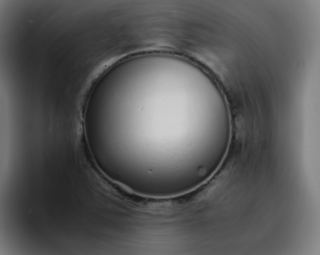 X0000096731363200802191540