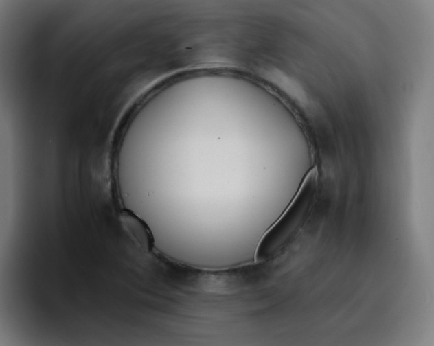 X0000096731364200802191540
