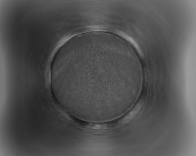 X0000096731365200802191540