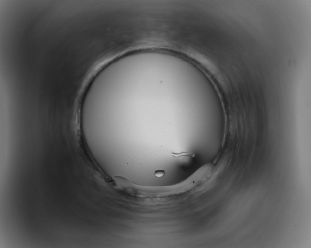 X0000096731366200802191540