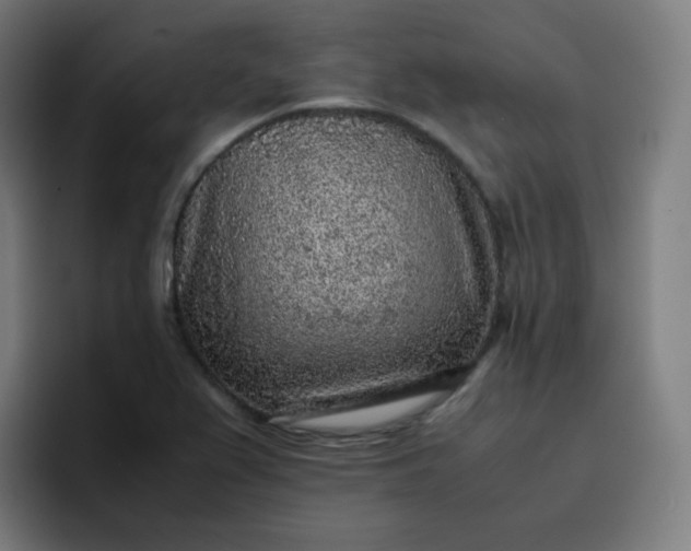 X0000096731367200802191540