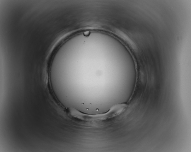 X0000096731368200802191540