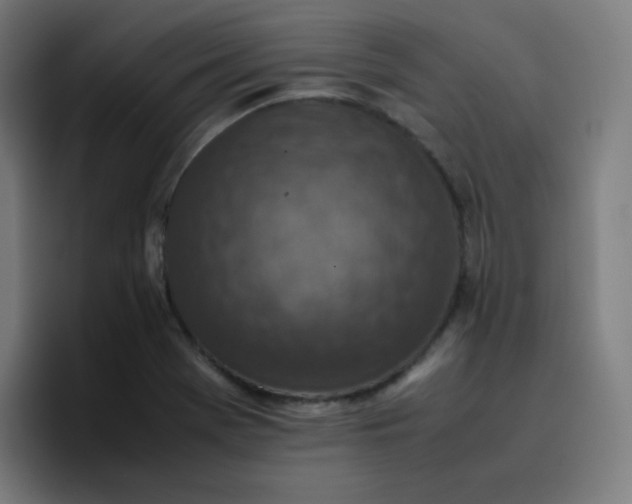 X0000096731369200802191540