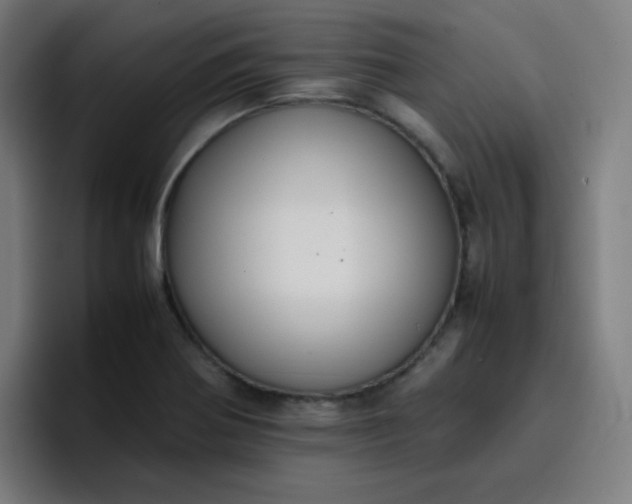 X0000096731370200802191540