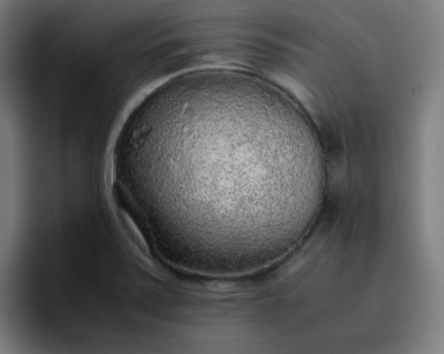 X0000096731371200802191540