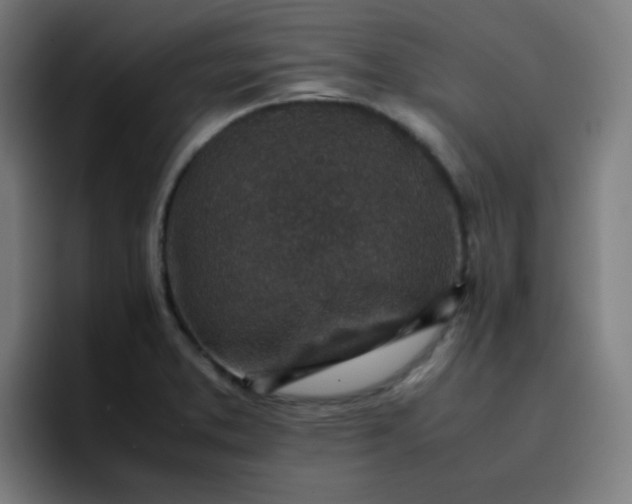 X0000096731373200802191540