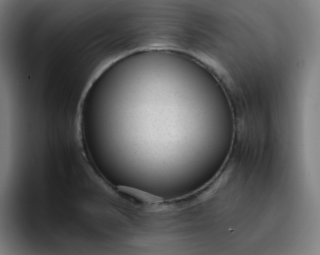 X0000096731374200802191540