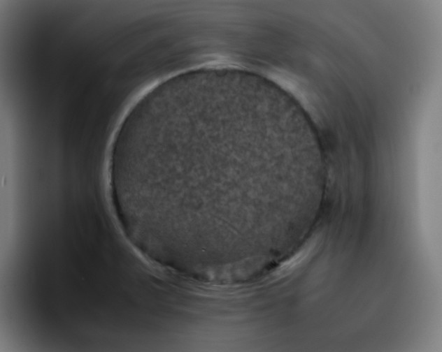 X0000096731375200802191540