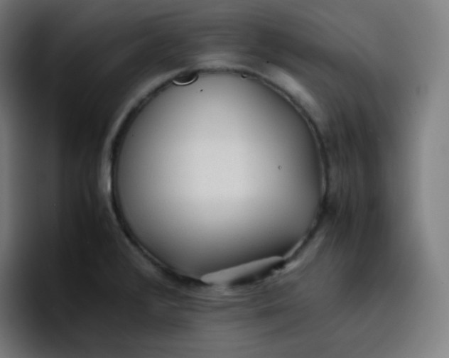 X0000096731376200802191540