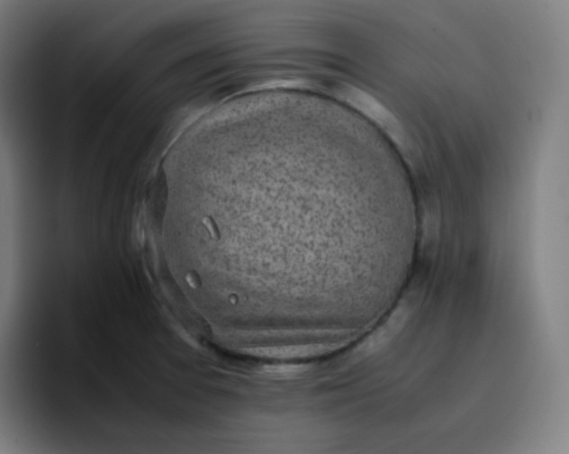 X0000096731377200802191540