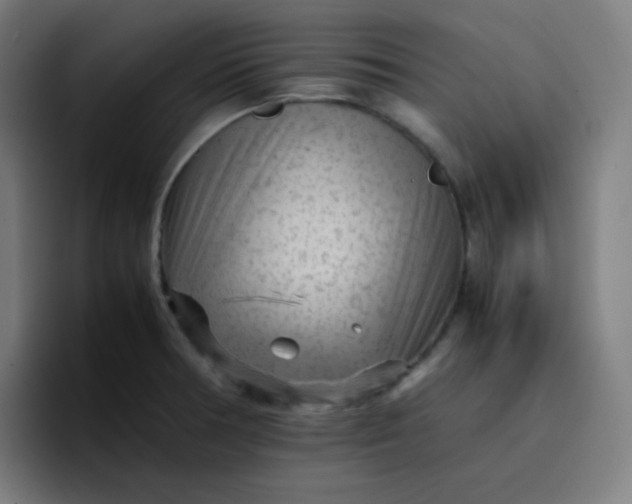 X0000096731378200802191540
