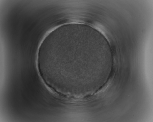 X0000096731379200802191540