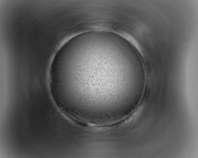 X0000096731381200802191540