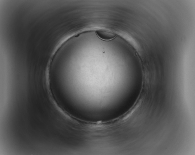 X0000096731382200802191540