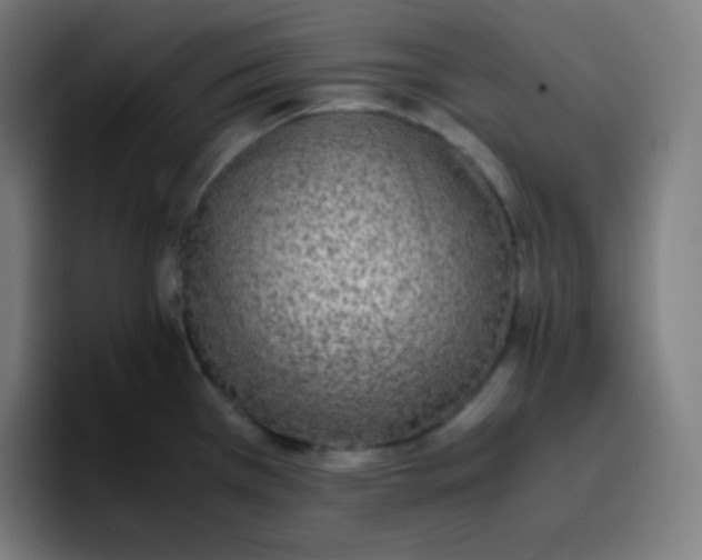 X0000096731385200802191540