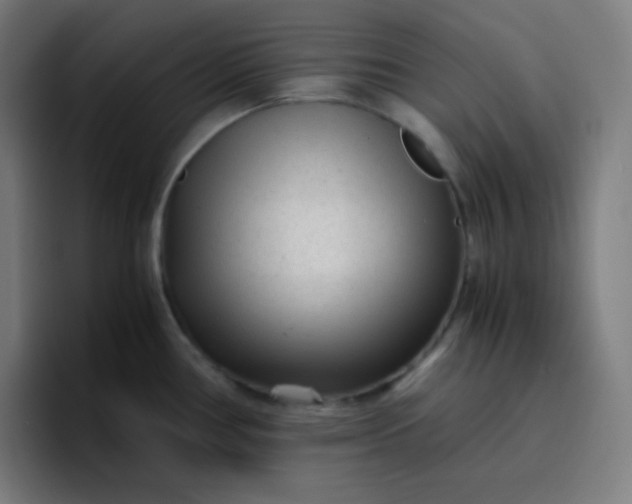 X0000096731386200802191539