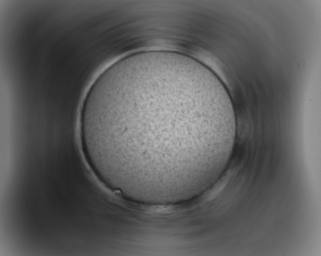 X0000096731387200802191539