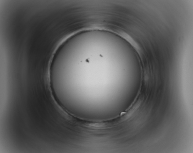 X0000096731388200802191539