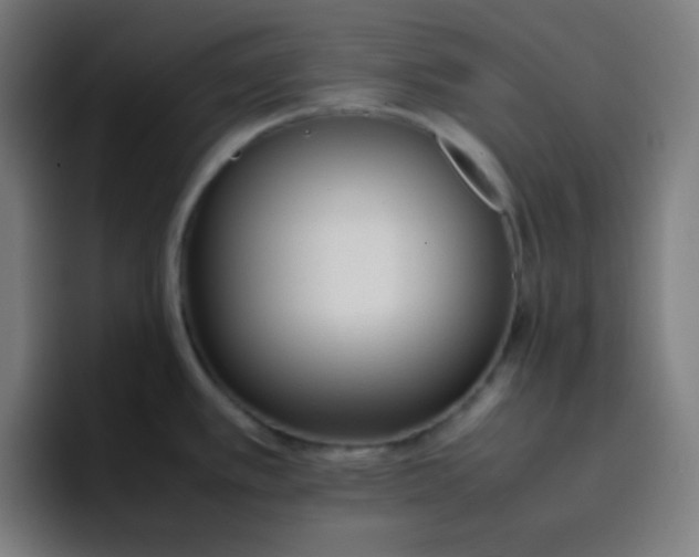 X0000096731389200802191539
