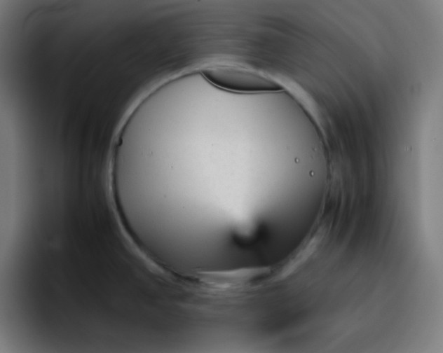X0000096731390200802191539