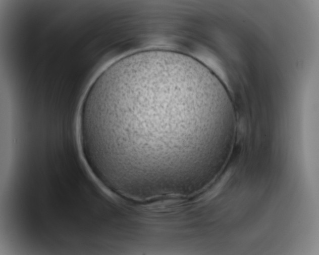 X0000096731391200802191539