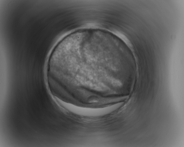 X0000096731392200802191539