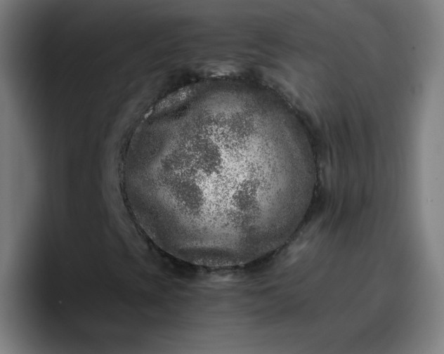 X0000096731393200802191539