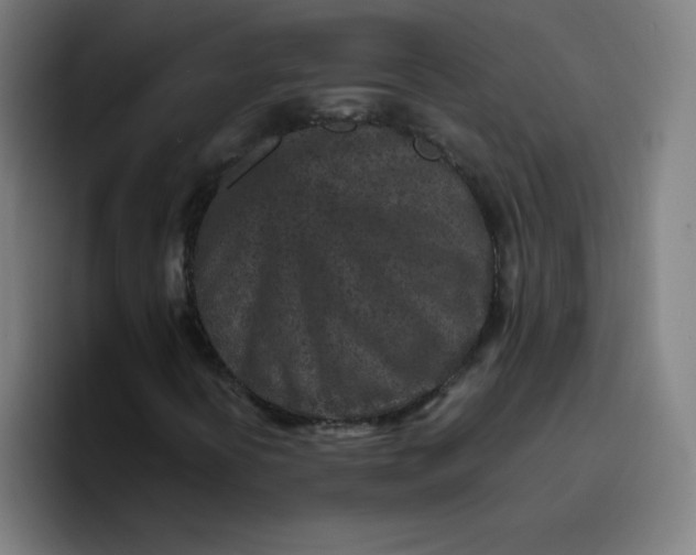X0000096731394200802191539