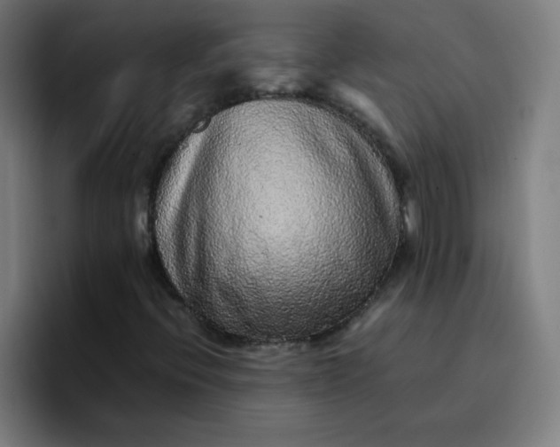 X0000096731396200802191539