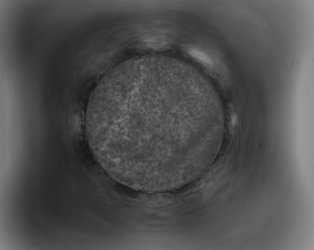 X0000096731397200802191539