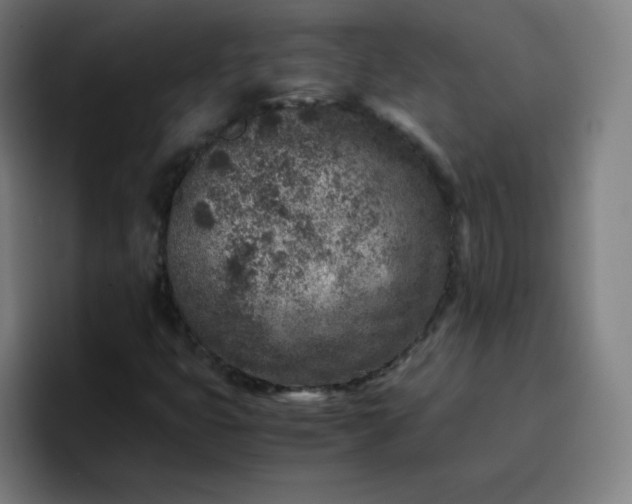 X0000096731399200802191539