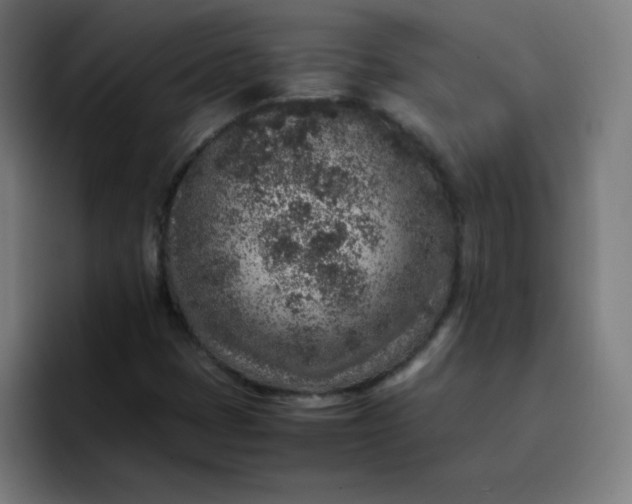 X0000096731401200802191539