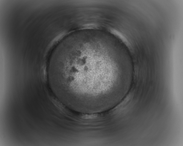 X0000096731403200802191539