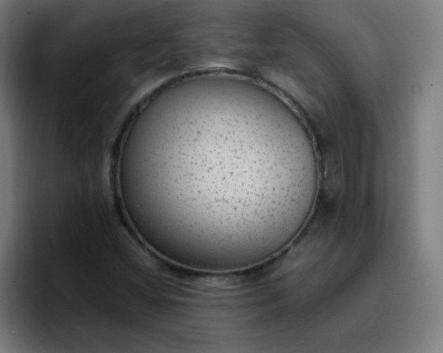 X0000096731404200802191539