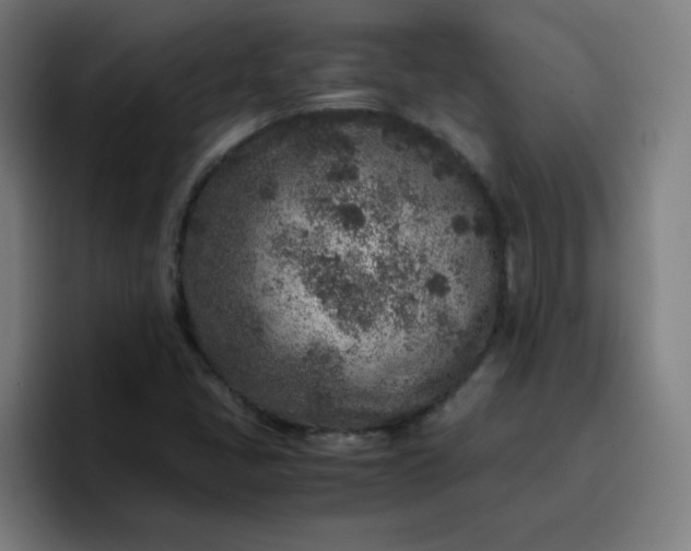 X0000096731405200802191539