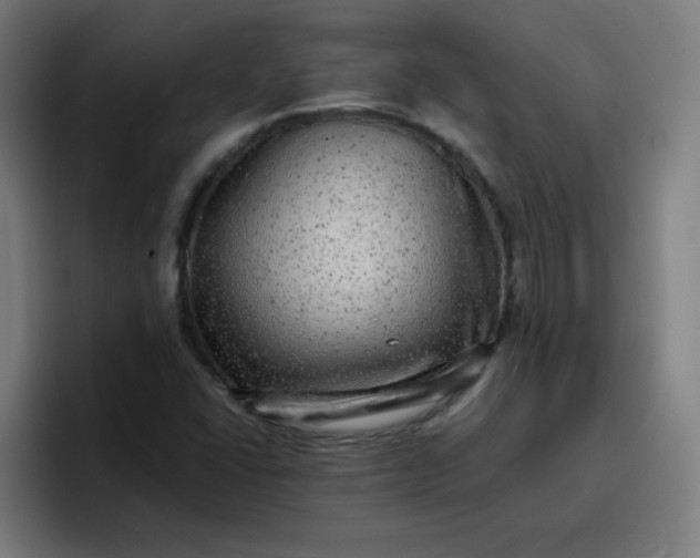 X0000096731406200802191539
