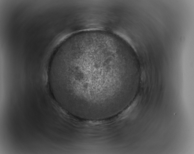X0000096731407200802191539