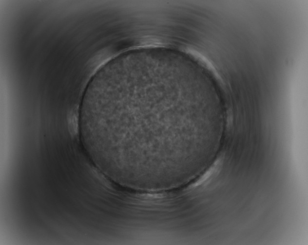 X0000096731409200802191539