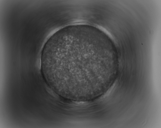 X0000096731413200802191539