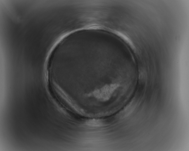 X0000096731414200802191539