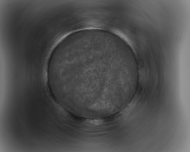 X0000096731415200802191539