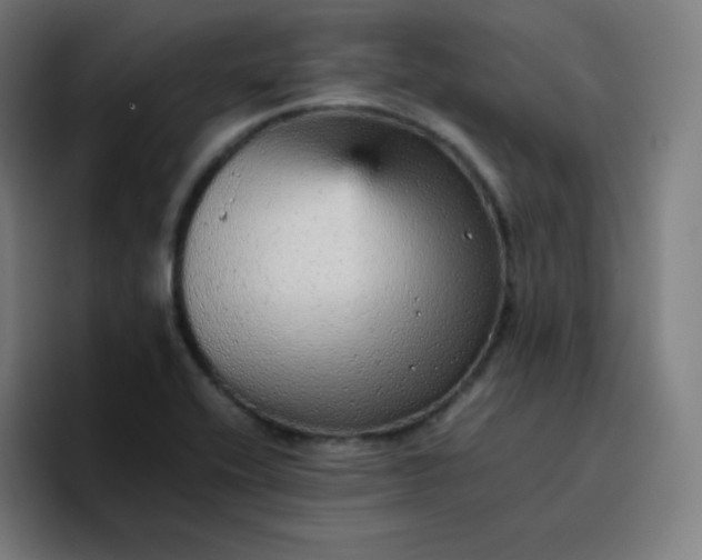 X0000096731416200802191539