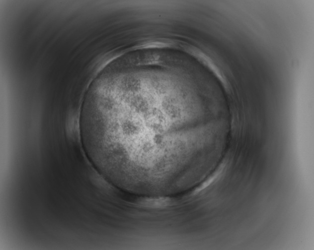 X0000096731417200802191539