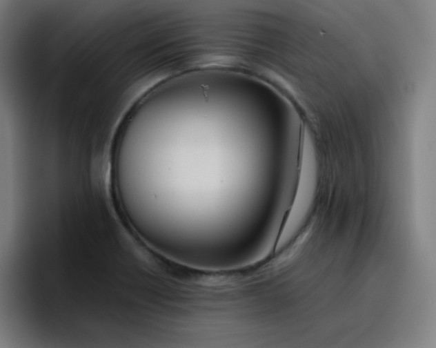 X0000096731418200802191539