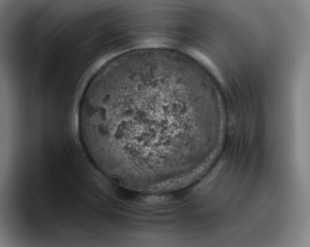 X0000096731419200802191539