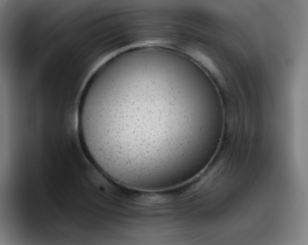 X0000096731420200802191539